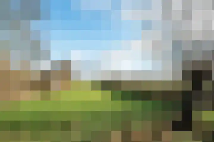 Diedenweg 87 Wageningen thumbnail 32