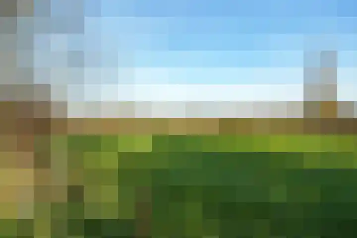Diedenweg 87 Wageningen thumbnail 33