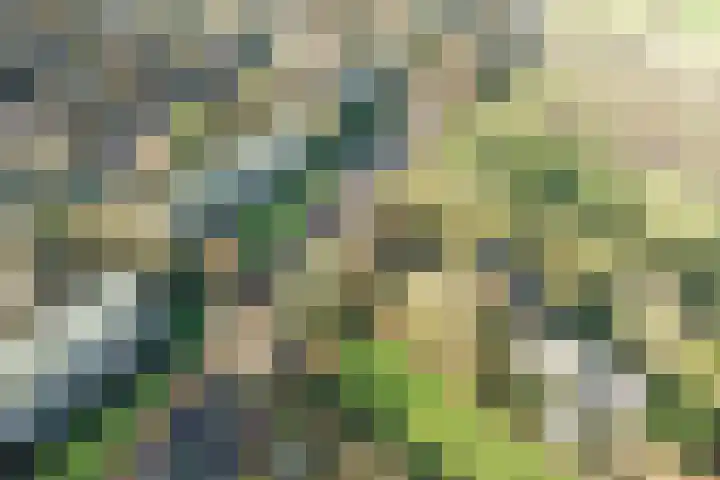 Diedenweg 87 Wageningen thumbnail 37