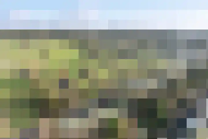 Diedenweg 87 Wageningen thumbnail 40