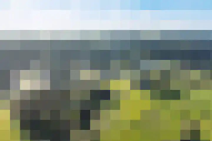 Diedenweg 87 Wageningen thumbnail 42