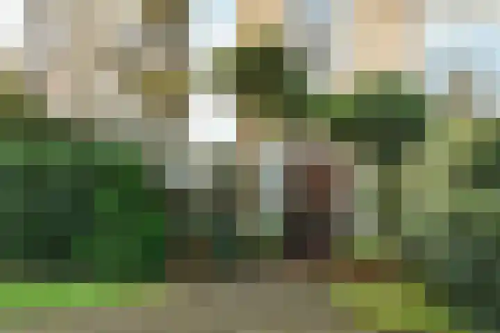 Diedenweg 87 Wageningen thumbnail 6