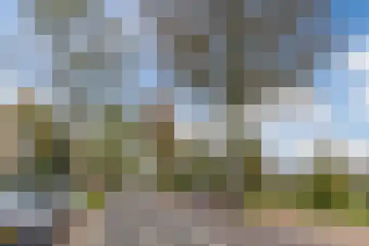 Diedenweg 93 I Wageningen thumbnail 39