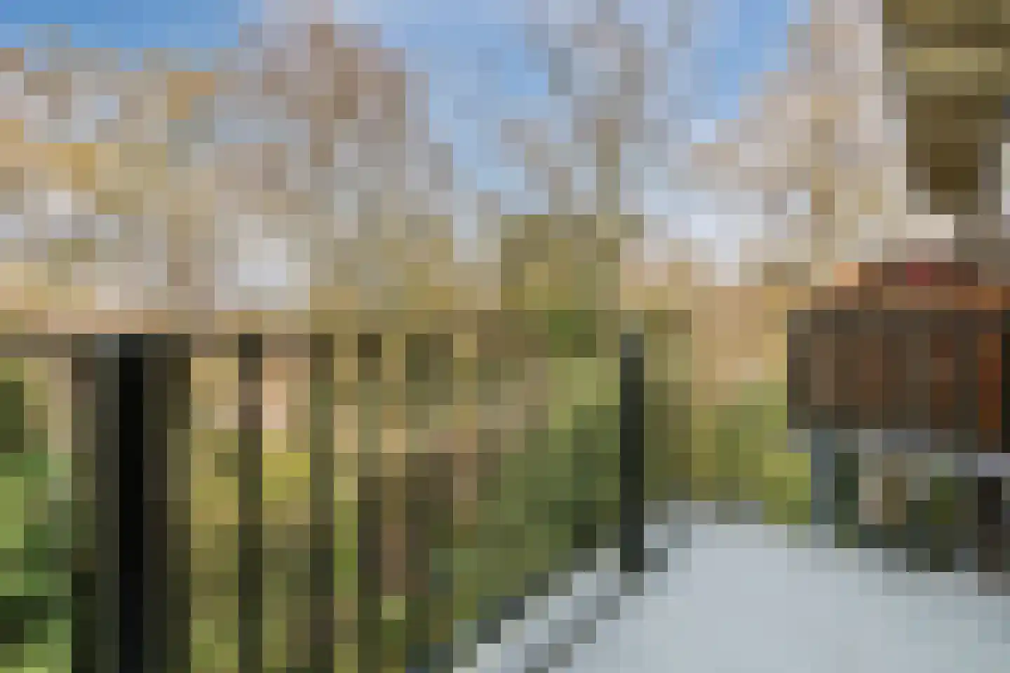 Diedenweg 95 II Wageningen thumbnail 28