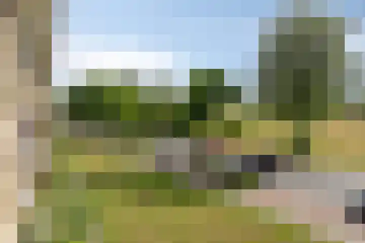 Diedenweg 99 II Wageningen thumbnail 15