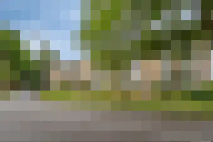 Diedenweg 99 II Wageningen thumbnail 16