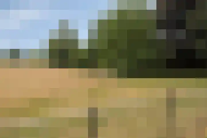 Diedenweg 99 II Wageningen thumbnail 20
