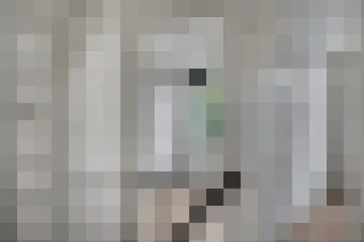 Diederickhof 10 Ede thumbnail 10