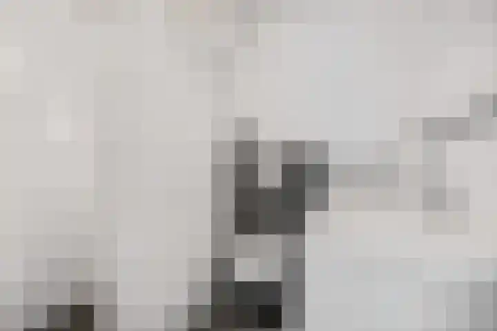 Diederickhof 10 Ede thumbnail 17