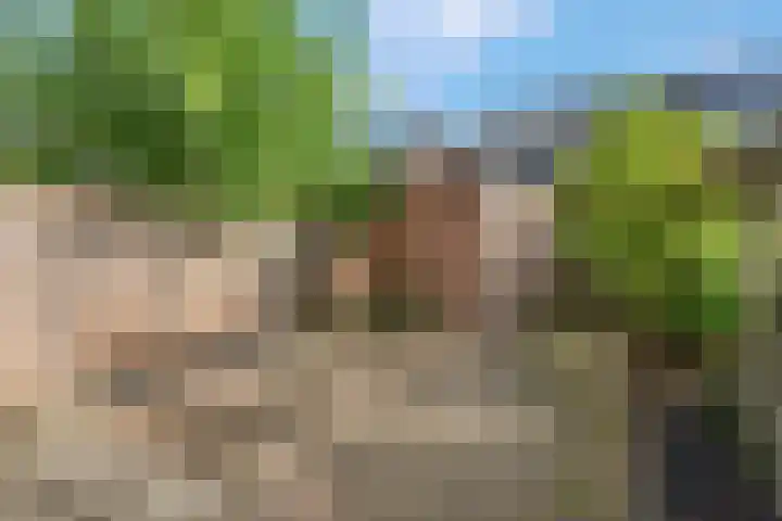 Diederickhof 10 Ede thumbnail 24