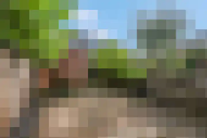 Diederickhof 10 Ede thumbnail 25
