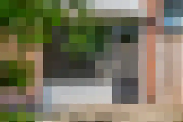 Diederickhof 10 Ede thumbnail 28