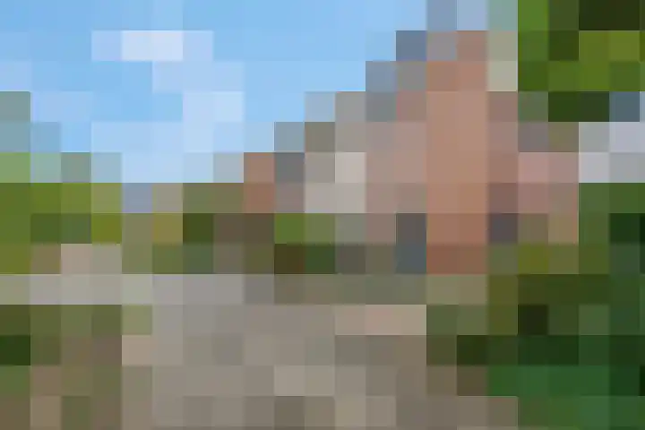 Diederickhof 10 Ede thumbnail 30