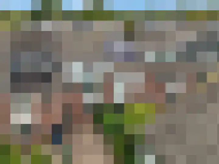 Diederickhof 10 Ede thumbnail 33