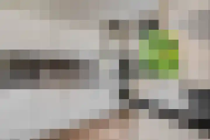 Diederickhof 10 Ede thumbnail 7