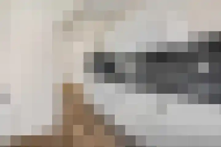 Diederickhof 10 Ede thumbnail 8