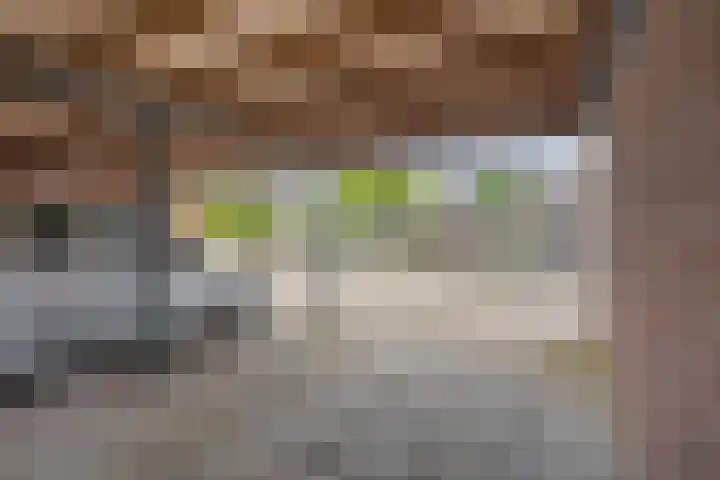 Diederik van Lentlaan 28 Lent thumbnail 15