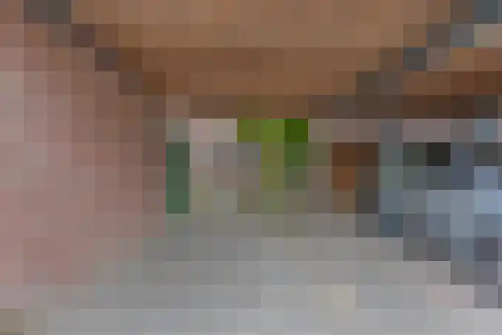 Diederik van Lentlaan 28 Lent thumbnail 16
