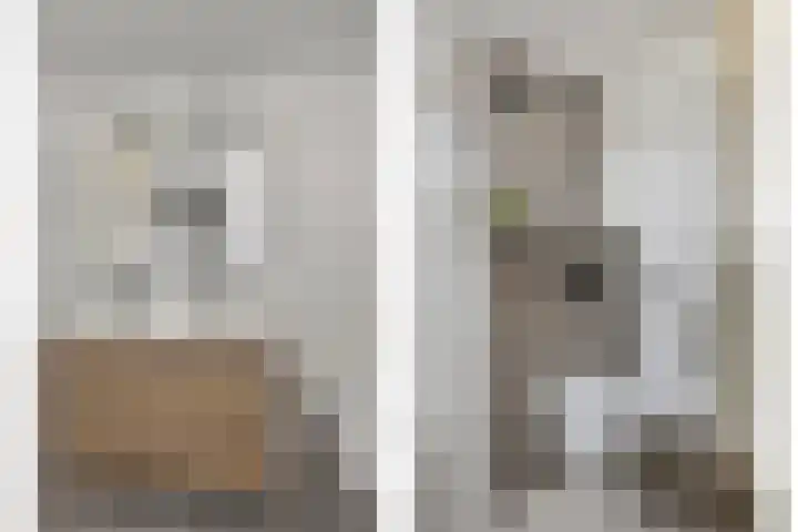 Diederik van Lentlaan 28 Lent thumbnail 21