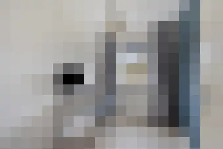 Diederik van Lentlaan 28 Lent thumbnail 24