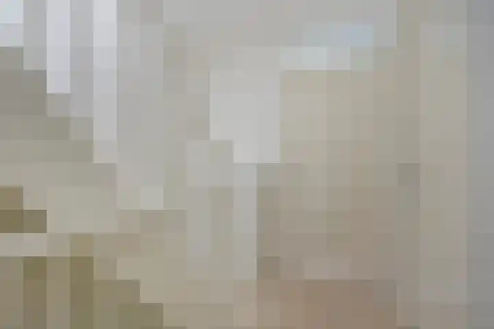 Diederik van Lentlaan 28 Lent thumbnail 25