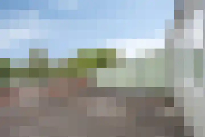Diederik van Lentlaan 28 Lent thumbnail 30