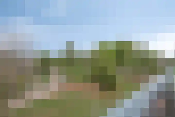 Diederik van Lentlaan 28 Lent thumbnail 32