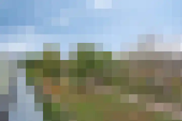 Diederik van Lentlaan 28 Lent thumbnail 33