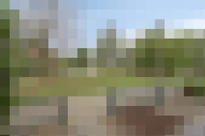 Diederik van Lentlaan 28 Lent thumbnail 35
