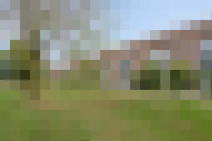 Diederik van Lentlaan 28 Lent thumbnail 38