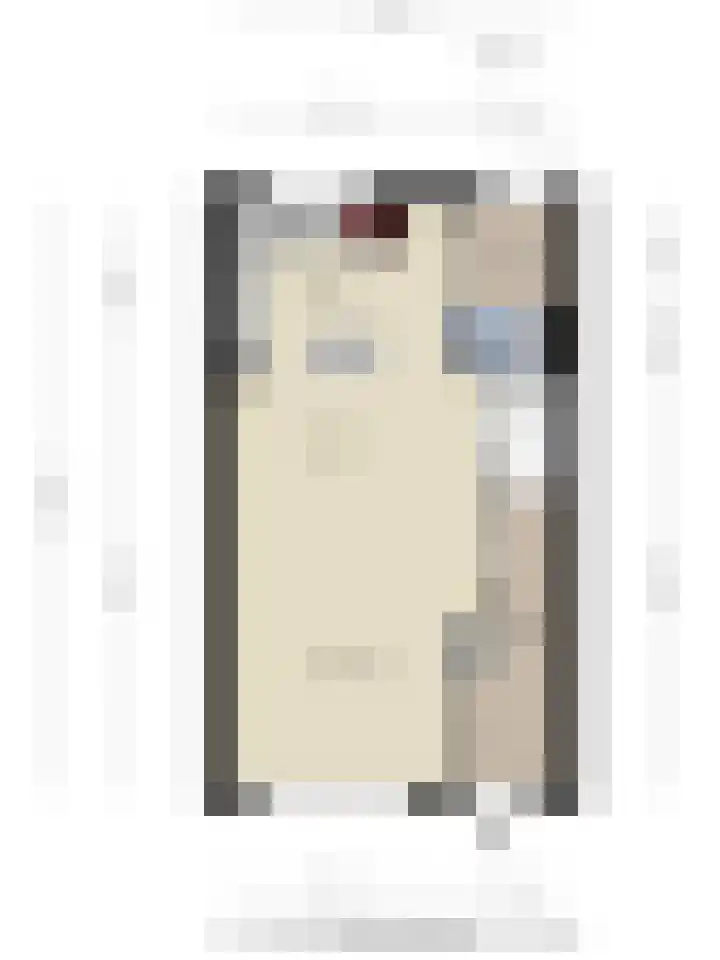 Diederik van Lentlaan 28 Lent thumbnail 41