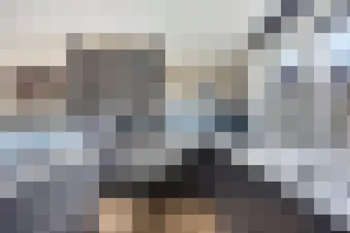 Diederik van Lentlaan 28 Lent thumbnail 7