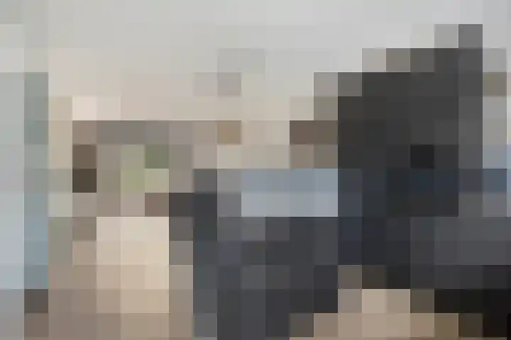 Diederik van Lentlaan 28 Lent thumbnail 9