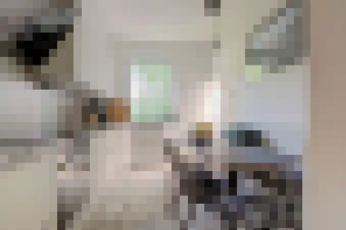 Diederik van Schagenplantsoen 11 Waddinxveen thumbnail 16