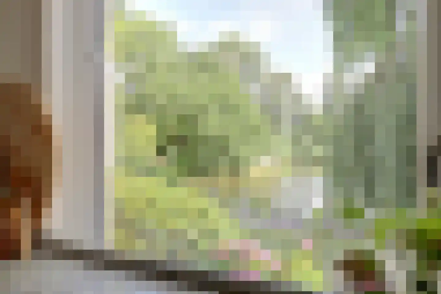 Diederik van Schagenplantsoen 11 Waddinxveen thumbnail 19
