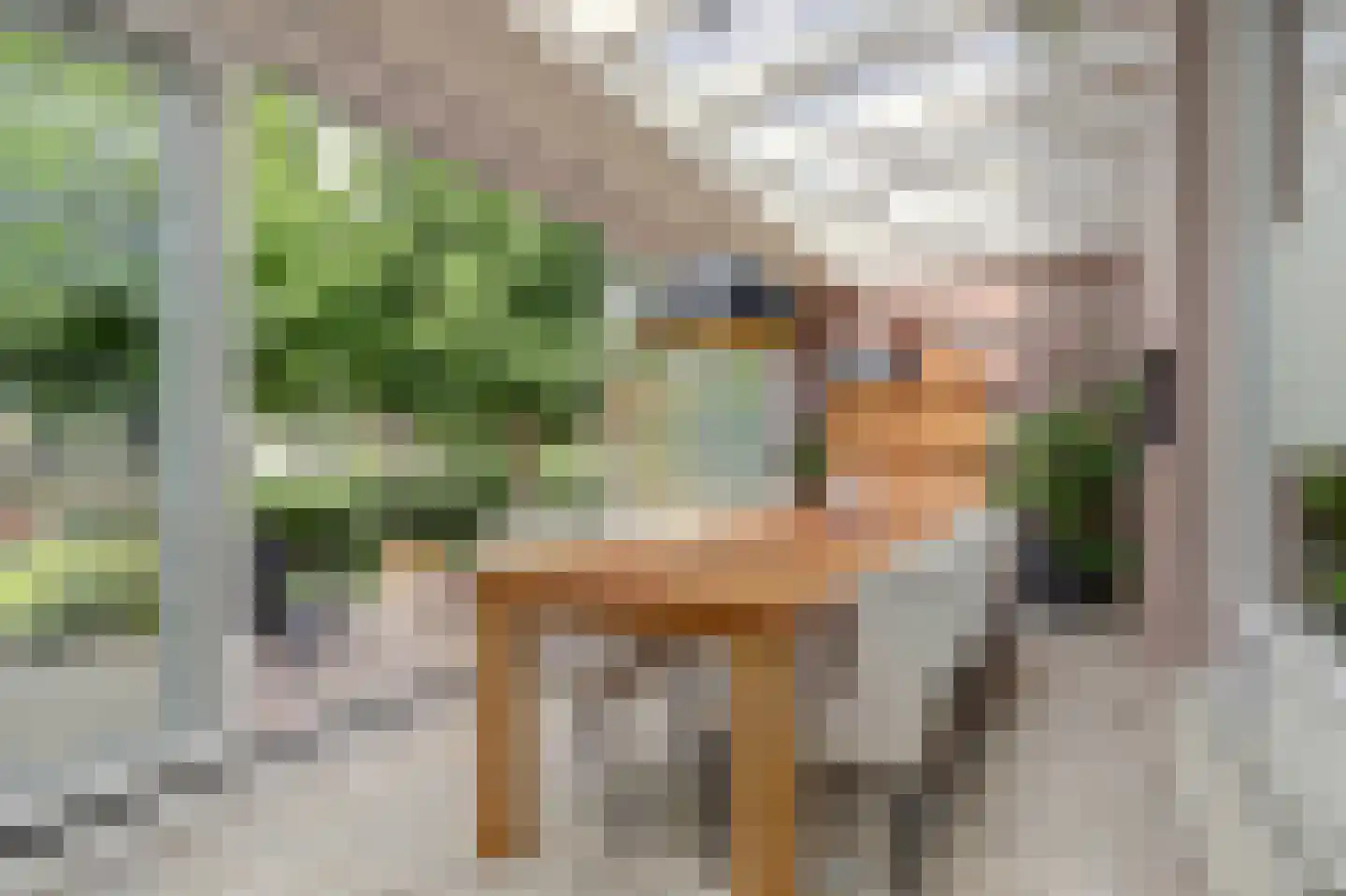 Diederik van Schagenplantsoen 11 Waddinxveen thumbnail 20