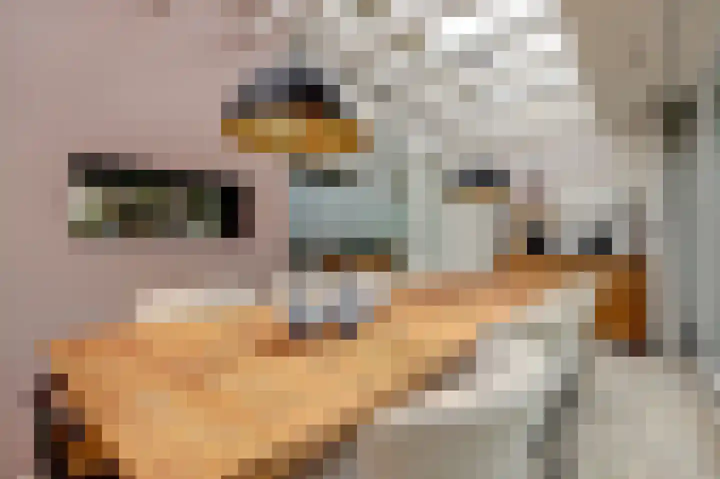 Diederik van Schagenplantsoen 11 Waddinxveen thumbnail 21