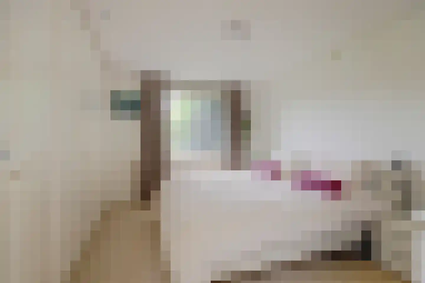 Diederik van Schagenplantsoen 11 Waddinxveen thumbnail 24