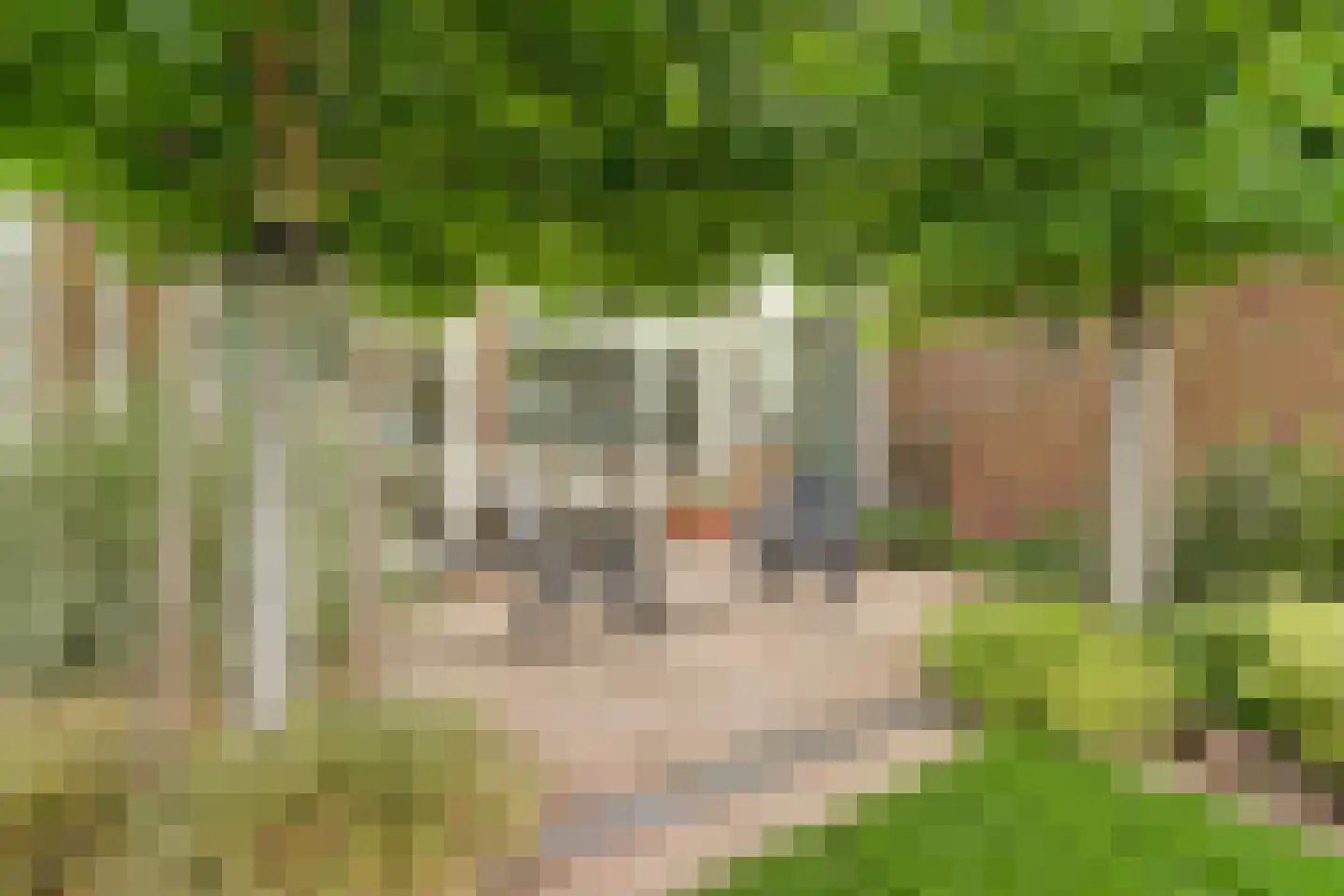 Diederik van Schagenplantsoen 11 Waddinxveen thumbnail 39