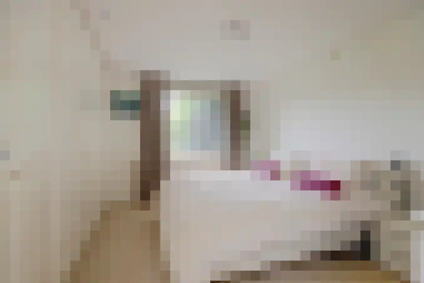 Diederik van Schagenplantsoen 11 Waddinxveen thumbnail 4