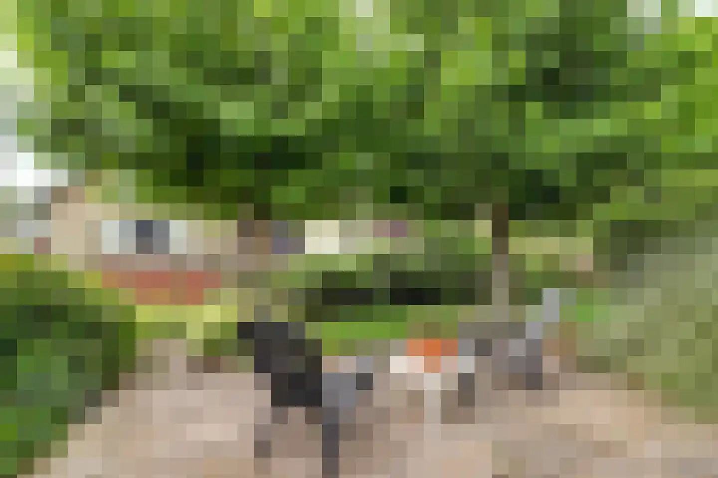 Diederik van Schagenplantsoen 11 Waddinxveen thumbnail 40
