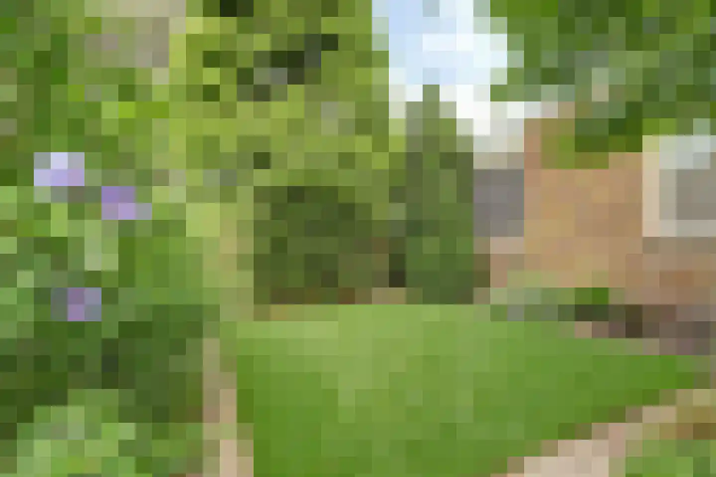 Diederik van Schagenplantsoen 11 Waddinxveen thumbnail 41