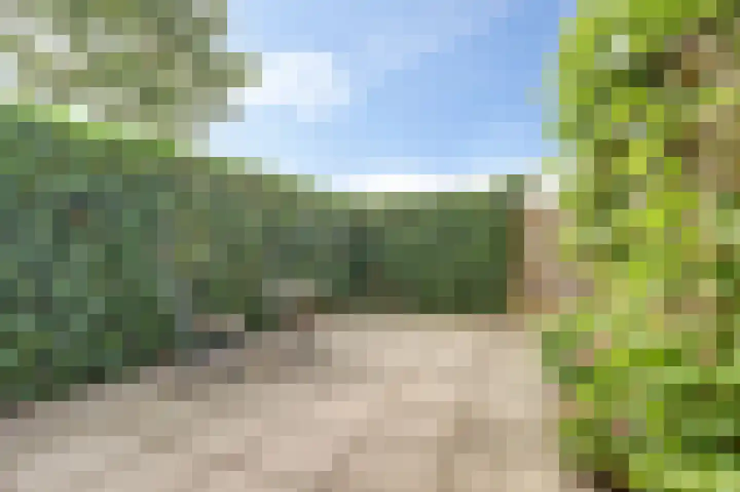 Diederik van Schagenplantsoen 11 Waddinxveen thumbnail 42