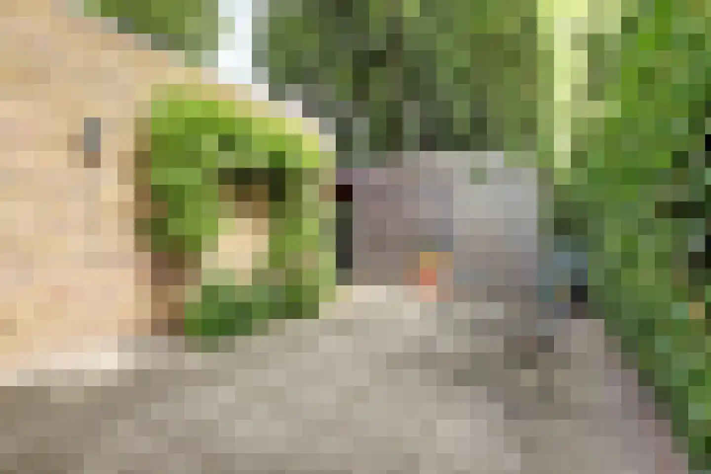 Diederik van Schagenplantsoen 11 Waddinxveen thumbnail 43