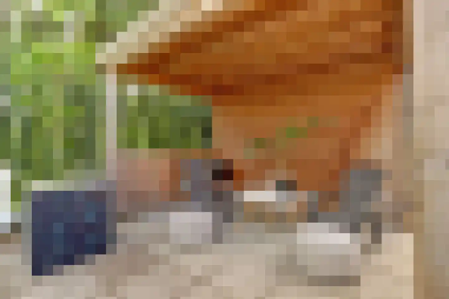 Diederik van Schagenplantsoen 11 Waddinxveen thumbnail 44