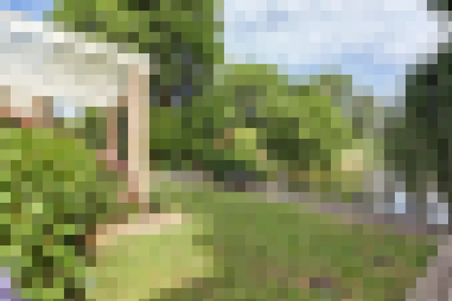 Diederik van Schagenplantsoen 11 Waddinxveen thumbnail 45