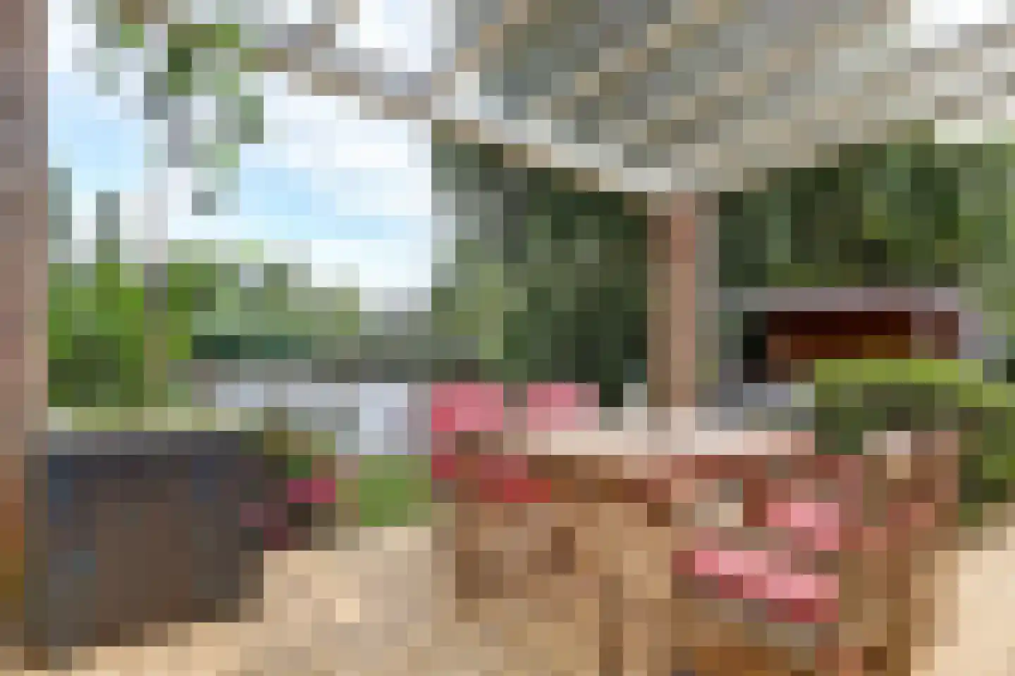 Diederik van Schagenplantsoen 11 Waddinxveen thumbnail 46