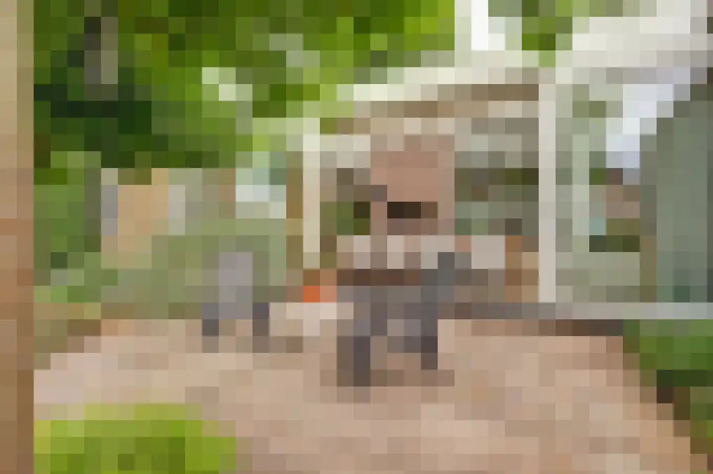 Diederik van Schagenplantsoen 11 Waddinxveen thumbnail 5