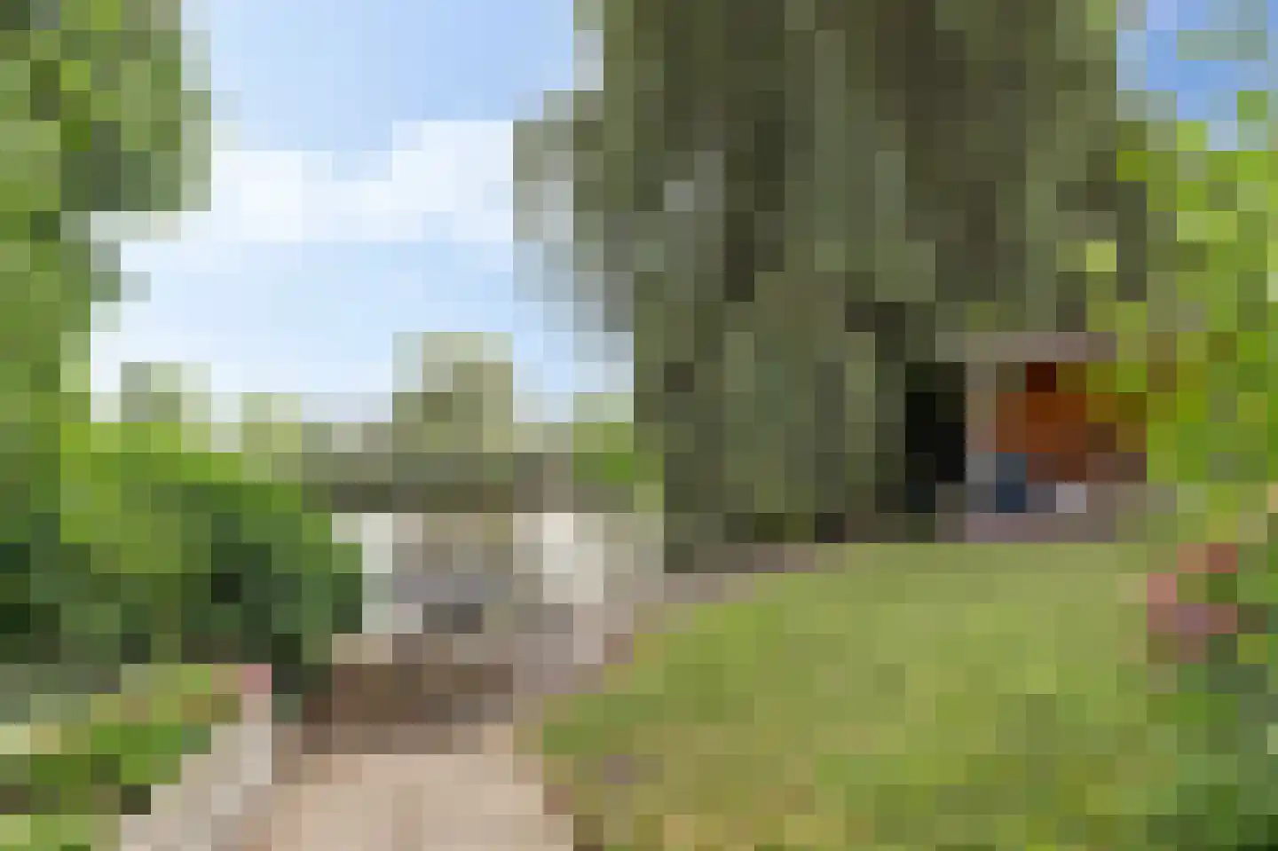 Diederik van Schagenplantsoen 11 Waddinxveen thumbnail 50