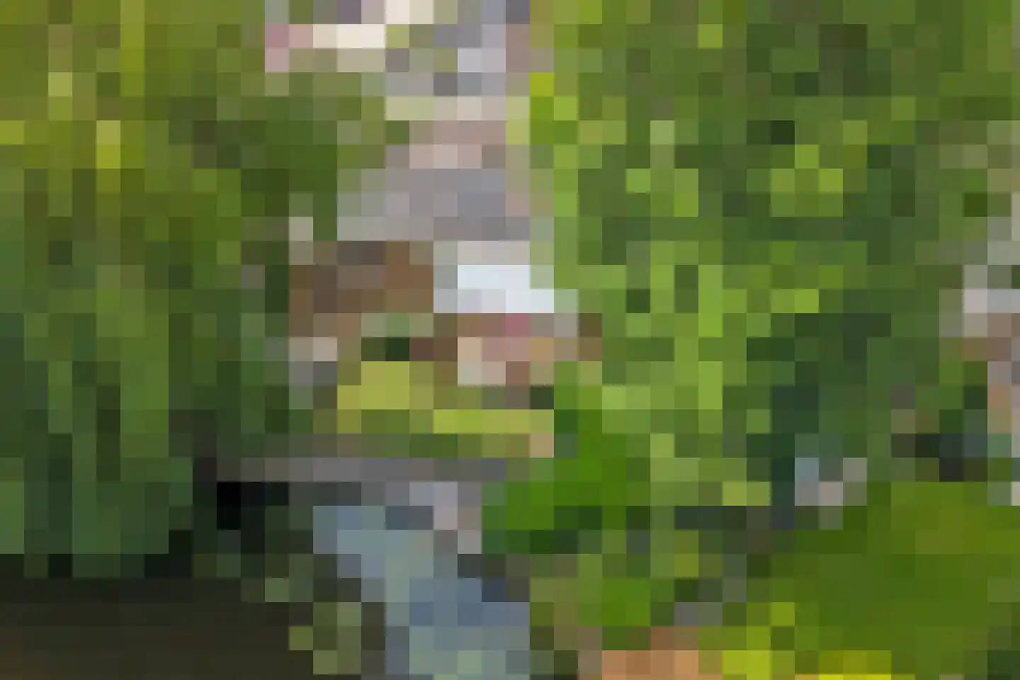 Diederik van Schagenplantsoen 11 Waddinxveen thumbnail 53